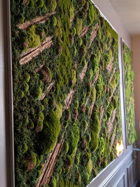 Cover photo of Plants Forever